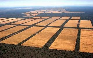 Cambio climático: deforestación y agricultura.