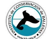 Instituto Conservación Ballenas