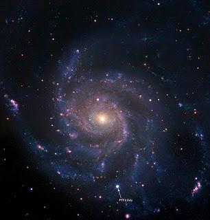 ¿Qué hace tan especial a una supernova?