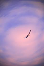 Nadie puede truncar tus sueños