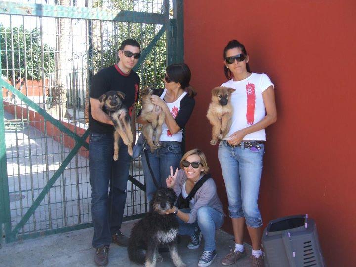 Malas noticias de los cachorros aterrorizados de Almeria :-(