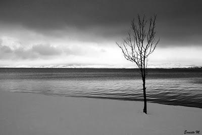 Fotografia de la semana