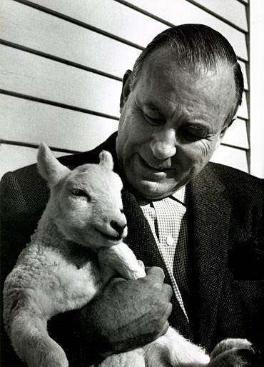 lester beall Lo que no me enseñaron.