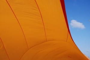 DEJAR FLUIR LA VIDA…