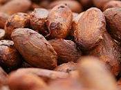 Nuevos sabores podrían resultar viaje colección cacao Perú