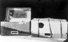 Primitivas incubadoras de transporte