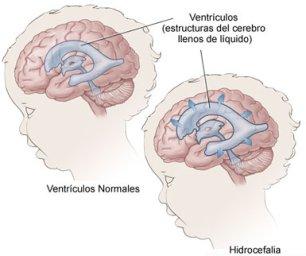 Un buen jefe de anestesiología significa menos casos de mala praxis (2)