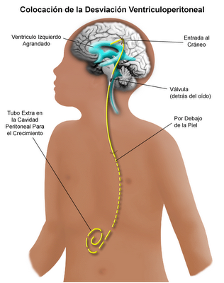 Un buen jefe de anestesiología significa menos casos de mala praxis (2)