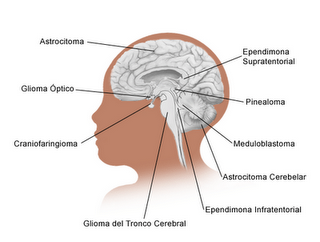 Un buen jefe de anestesiología significa menos casos de mala praxis (2)