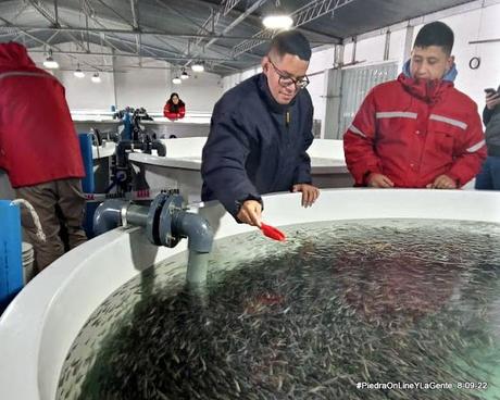Agustin disfrutando su capacitación en la Psicultura de Idris Patagonia