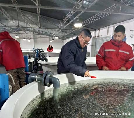 Agustin disfrutando su capacitación en la Psicultura de Idris Patagonia