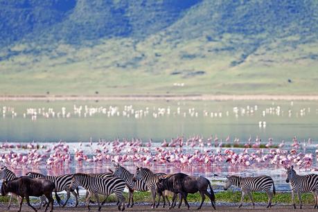 Tu Luna de Miel a medida 2023 tanzania safari 900x600 1