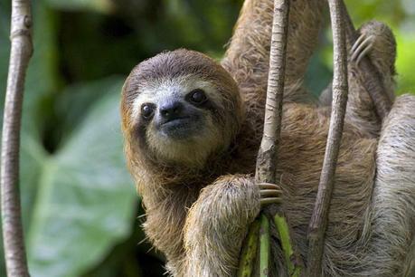 Tu Luna de Miel a medida 2023 Costa rica salvaje 900x600 1