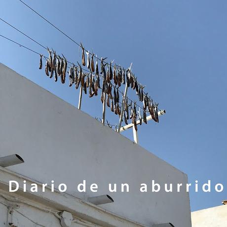 En Andalucía a cuarenta grados En Andalucía a cuarenta grados