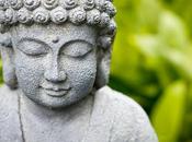 Cuestiona todo prueba