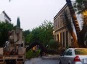 Fuertes lluvias derriban gran árbol calle Arista