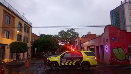 Fuertes lluvias derriban gran árbol en la calle Arista