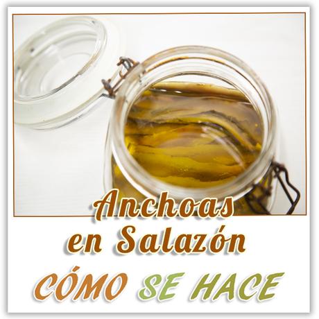 ANCHOAS EN SALAZÓN ANCHOAS EN SALAZÓN RÁPIDO