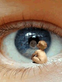 5.212 - NO TENGAS MIEDO...