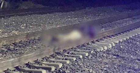 Abandonan cuerpo ejecutado en las vías de tren a la altura de Periférico