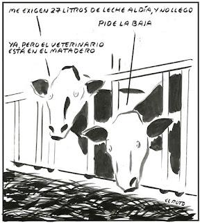 Mi propuesta de lectura de prensa para hoy domingo, 11 de septiembre