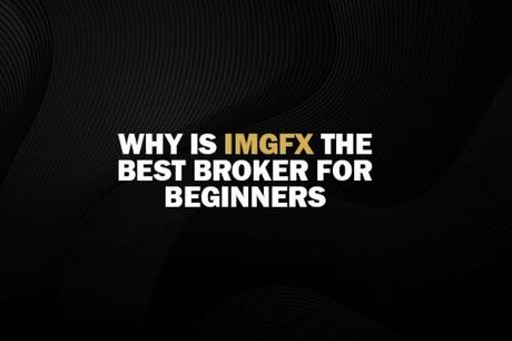 La moneda fiduciaria de IMGFX La moneda fiduciaria de IMGFX