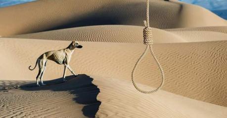 La soga al cuello: La cruzada