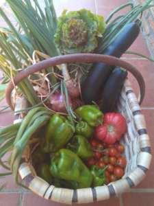 Apoyo del Parlamento Europeo a la medicina integrativa y la nutrición clínica en cáncer