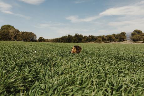Boboli y su colección otoño invierno 2022