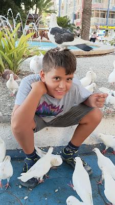 5 planes GRATIS en Benidorm