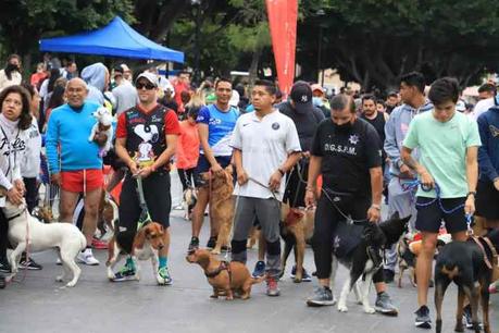 Todo un éxito la «Carrera Perrona» en esta ciudad capital