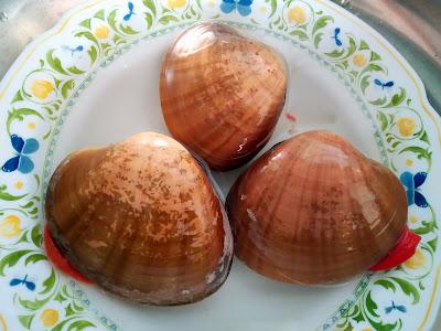 CONCHA FINA DE MALAGA CON AJOBLANCO DE MACADAMIA Y UVA MOSCATEL DE MÁLAGA