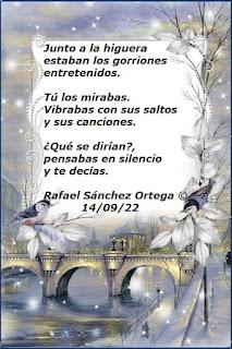 5.216 - JUNTO A LA HIGUERA... 5.216 - JUNTO A LA HIGUERA...