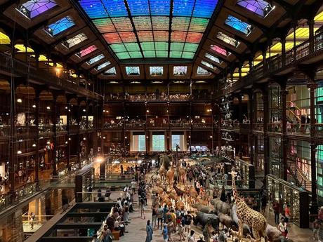 París con niños: 25 planes y más sin tener que pisar Disney La gran Galería de la Evolución, uno de los mejores lugares para ir en Paris con niños