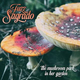 Fuzz Sagrado - A New Dimension (2022) Fuzz Sagrado - A New Dimension (2022)