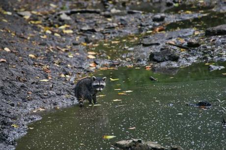 15 mejores cosas para hacer en Gardner, Kansas