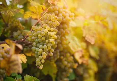 15 mejores cosas para hacer en Gardner, Kansas