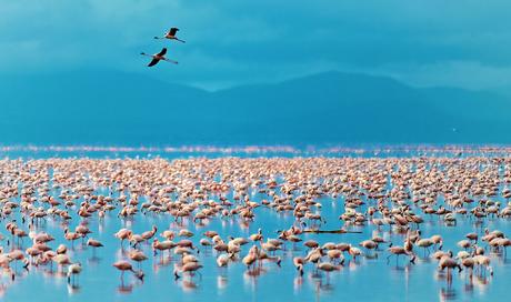 Qué ver en Tanzania – 8 atracciones que vale la pena visitar Qué ver en Tanzania - 8 atracciones que vale la pena visitar