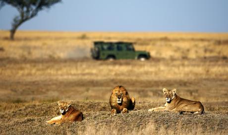Qué ver en Tanzania – 8 atracciones que vale la pena visitar Qué ver en Tanzania - 8 atracciones que vale la pena visitar