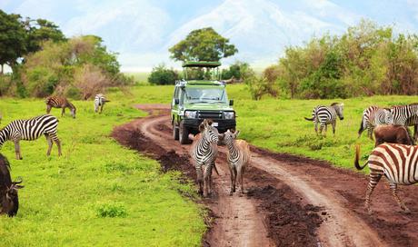 Qué ver en Tanzania – 8 atracciones que vale la pena visitar Qué ver en Tanzania - 8 atracciones que vale la pena visitar