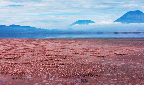 Qué ver en Tanzania – 8 atracciones que vale la pena visitar Qué ver en Tanzania - 8 atracciones que vale la pena visitar