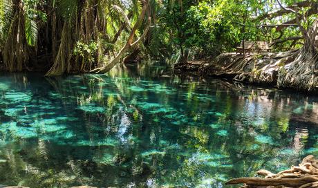 Monte Kilimanjaro: el más interesante del parque nacional Monte Kilimanjaro: el más interesante del parque nacional