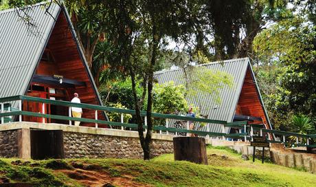 Monte Kilimanjaro: el más interesante del parque nacional Monte Kilimanjaro: el más interesante del parque nacional