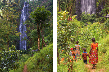 Monte Kilimanjaro: el más interesante del parque nacional Monte Kilimanjaro: el más interesante del parque nacional