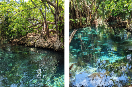 Monte Kilimanjaro: el más interesante del parque nacional Monte Kilimanjaro: el más interesante del parque nacional