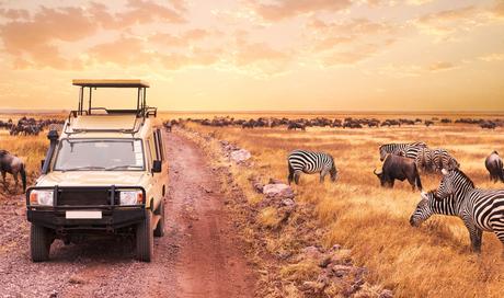 Monte Kilimanjaro: el más interesante del parque nacional Monte Kilimanjaro: el más interesante del parque nacional