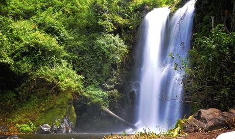 Monte Kilimanjaro: el más interesante del parque nacional Monte Kilimanjaro: el más interesante del parque nacional