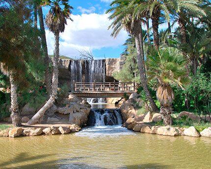 Qué ver y hacer en Alicante Qué ver y hacer en Alicante