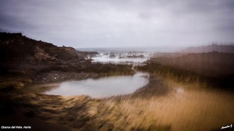 CHARCO DEL PALO. LANZAROTE