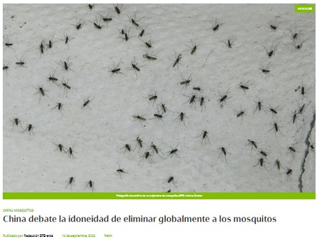 De los gorriones de Mao Tse Tung a los mosquitos de Xi Jinping